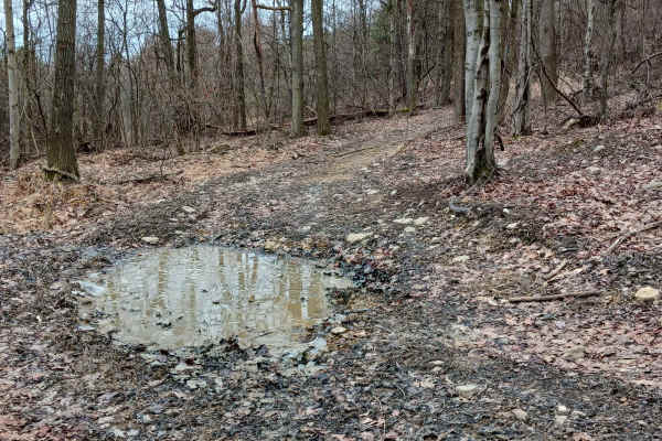 Trail 4N - Rock Run Recreation Area