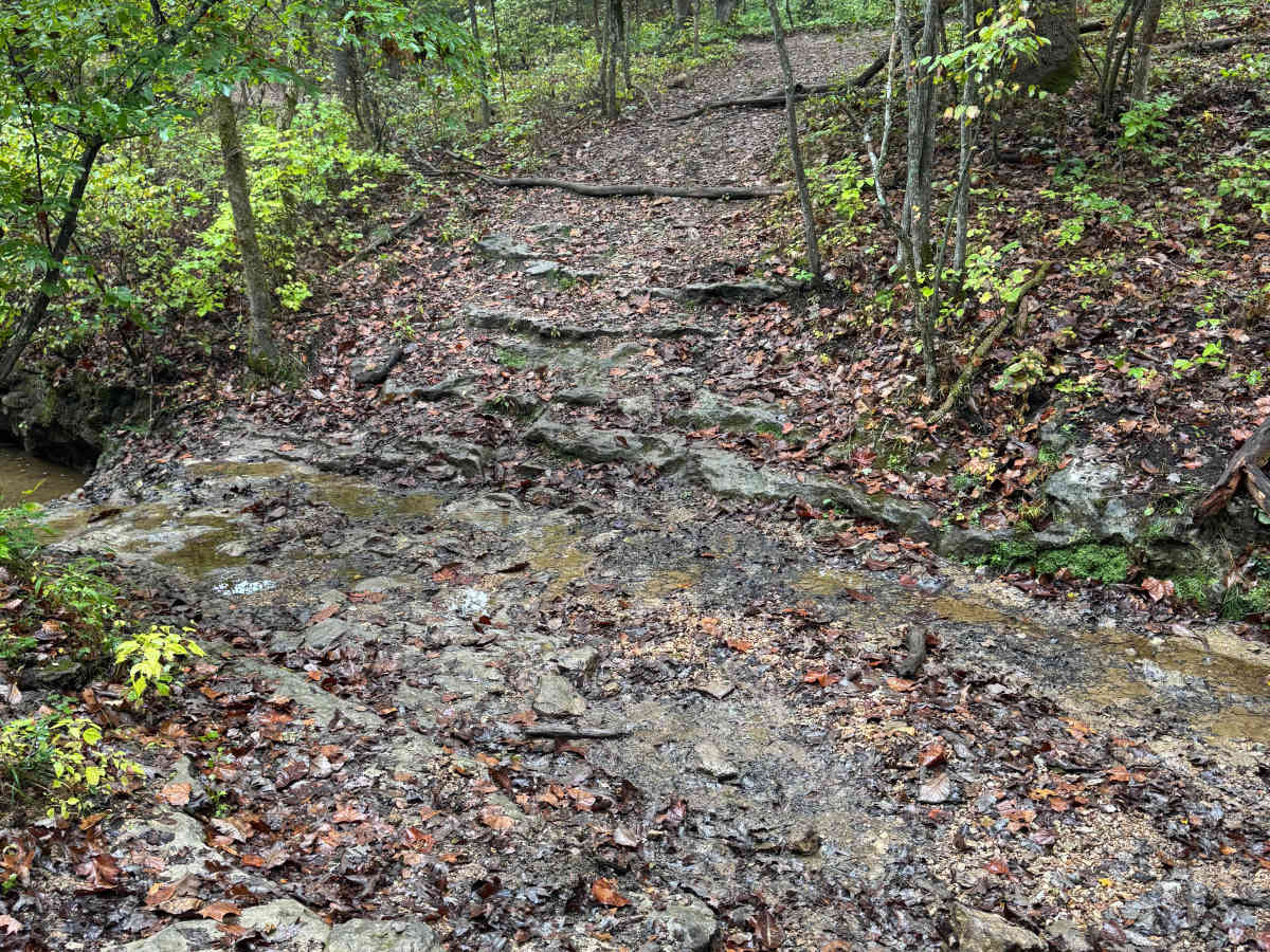 Creek Crossing photo 4
