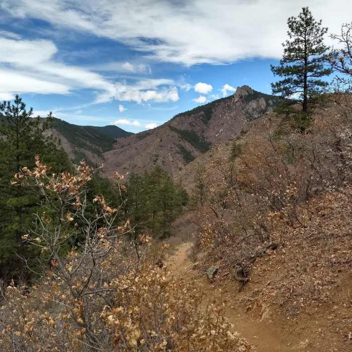 The trail leads mostly through pine forest however it has a couple points where the scenery breaks up to some great landscapes. Near County Road 5