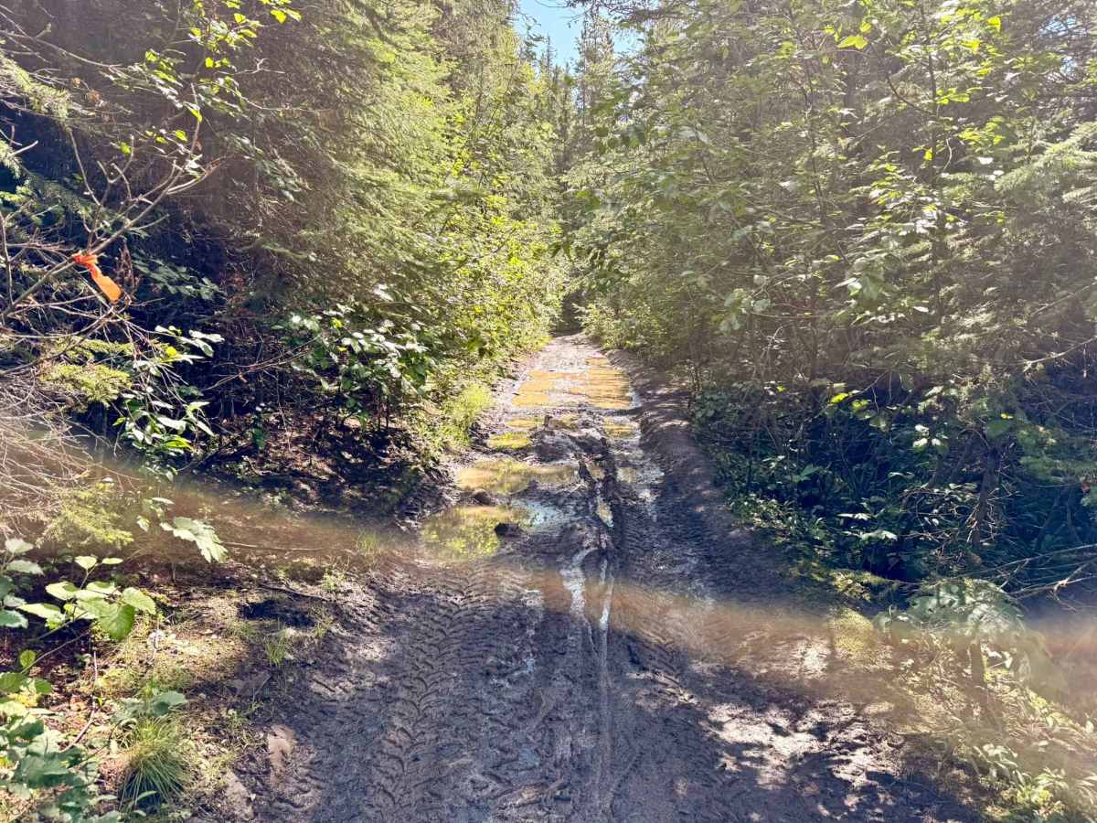 Mount Hamell Route photo 2