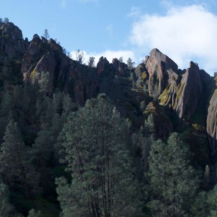 Near Old Pinnacles Trail