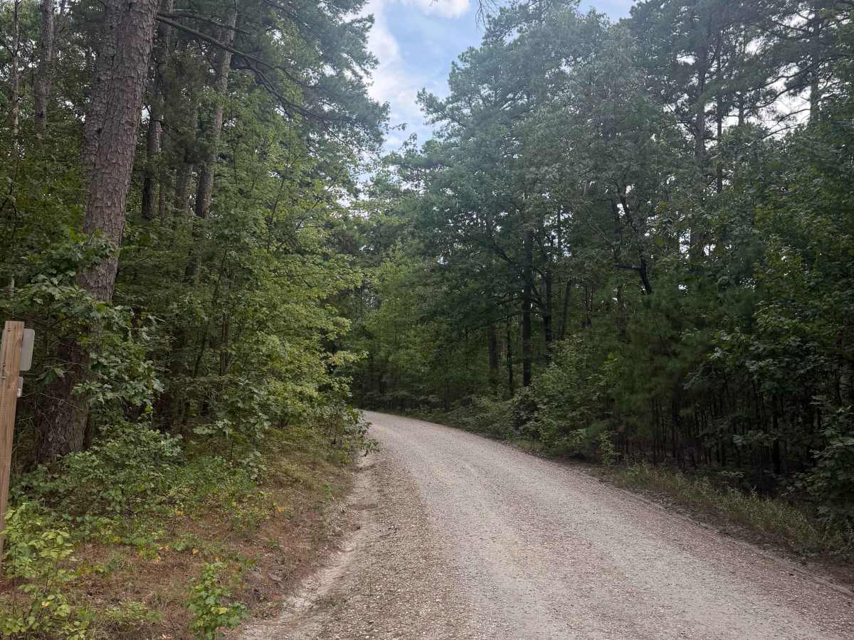South Winona Forest Road photo 4