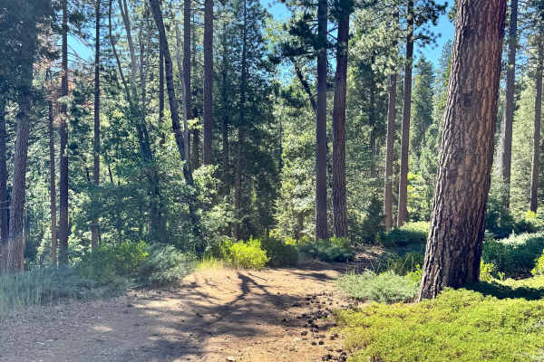 Old Strawberry Road Trail - FS 4N28YB