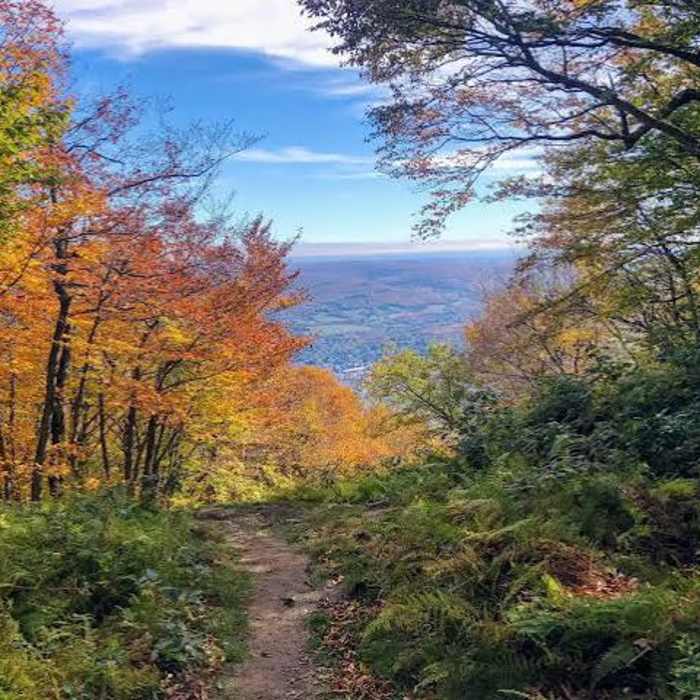 Near Mount Greylock via Cheshire Harbor Trail Near Mount Greylock via Cheshire Harbor Trail