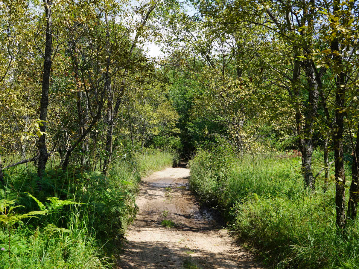 Center Plains Trail photo 2