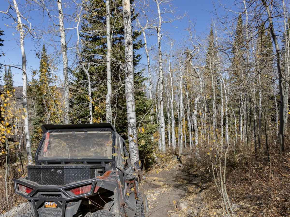 Clear Creek-Woods Lake photo 4