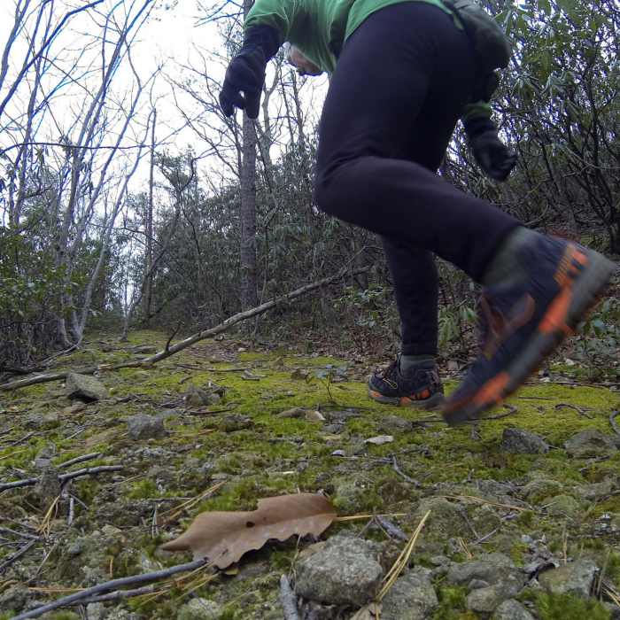 Near Terrapin Mountain Loop