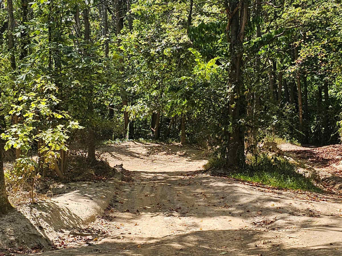Trail 25 photo 4