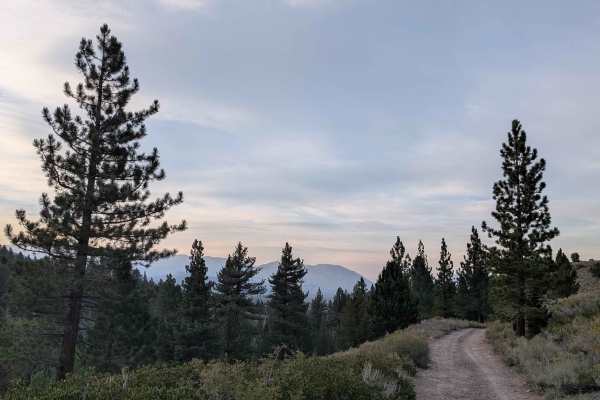 Willow Flat Road Burt Canyon - FS 32066C