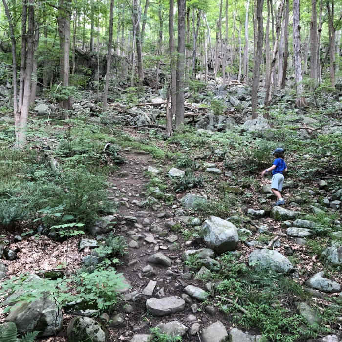 Near Bishop Estate East to West Rock Ridge Trail (Blue and Blue+Yellow)