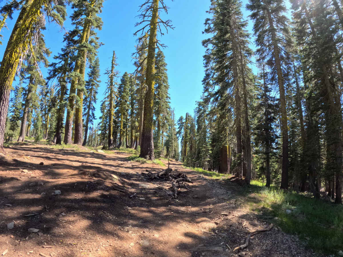 Pauley Creek - FS 93-003 photo 4