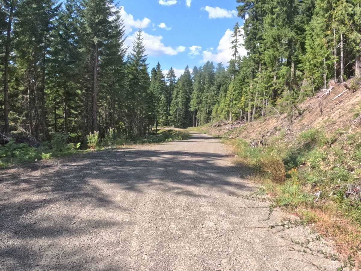 Deer Toe Road - FS 2047770 photo 5