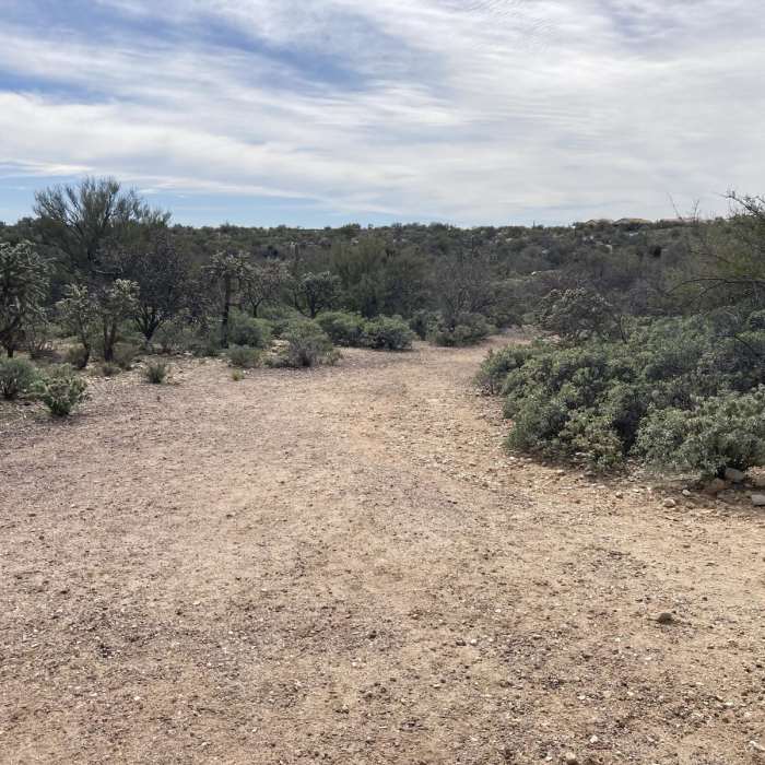 Near Honey Bee Canyon Petroglyphs Trail Near Honey Bee Canyon Petroglyphs Trail