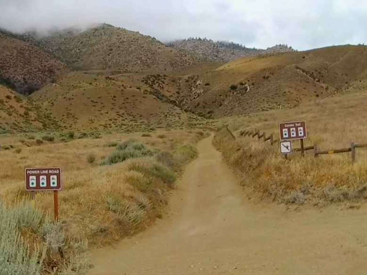 Condor Trail photo 5