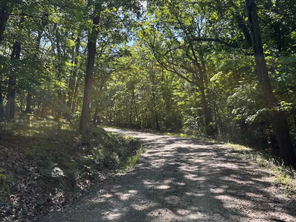 View Board Road photo 3