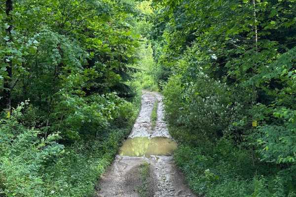 Long Run