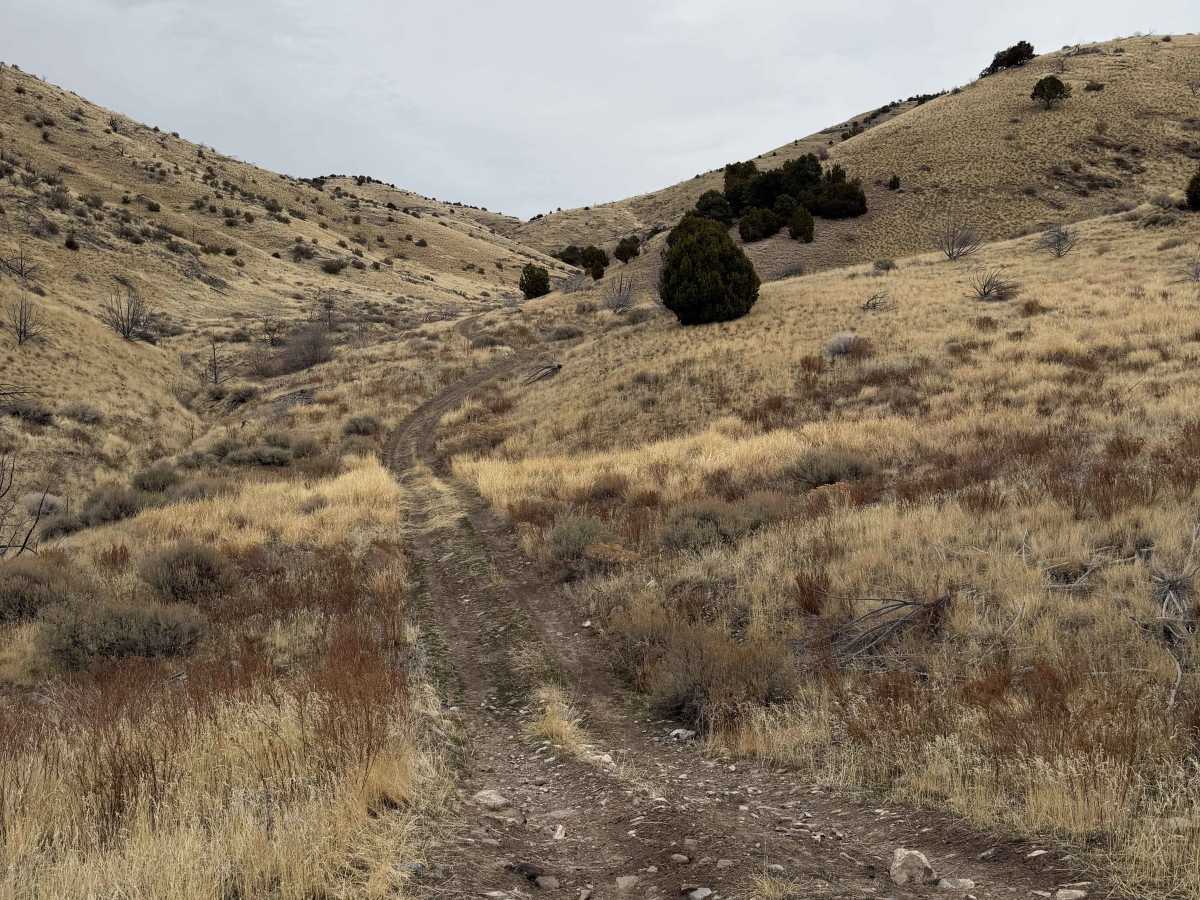 Long Juab Canyon photo 5