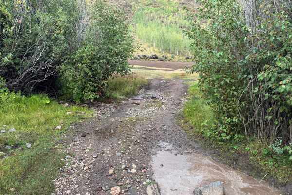 Flick Ridge Road