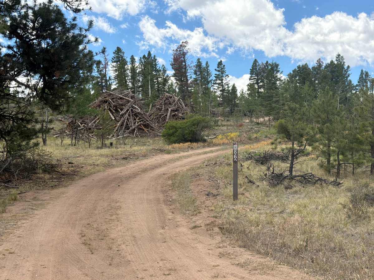 Warling Road - FS 862 trail photo
