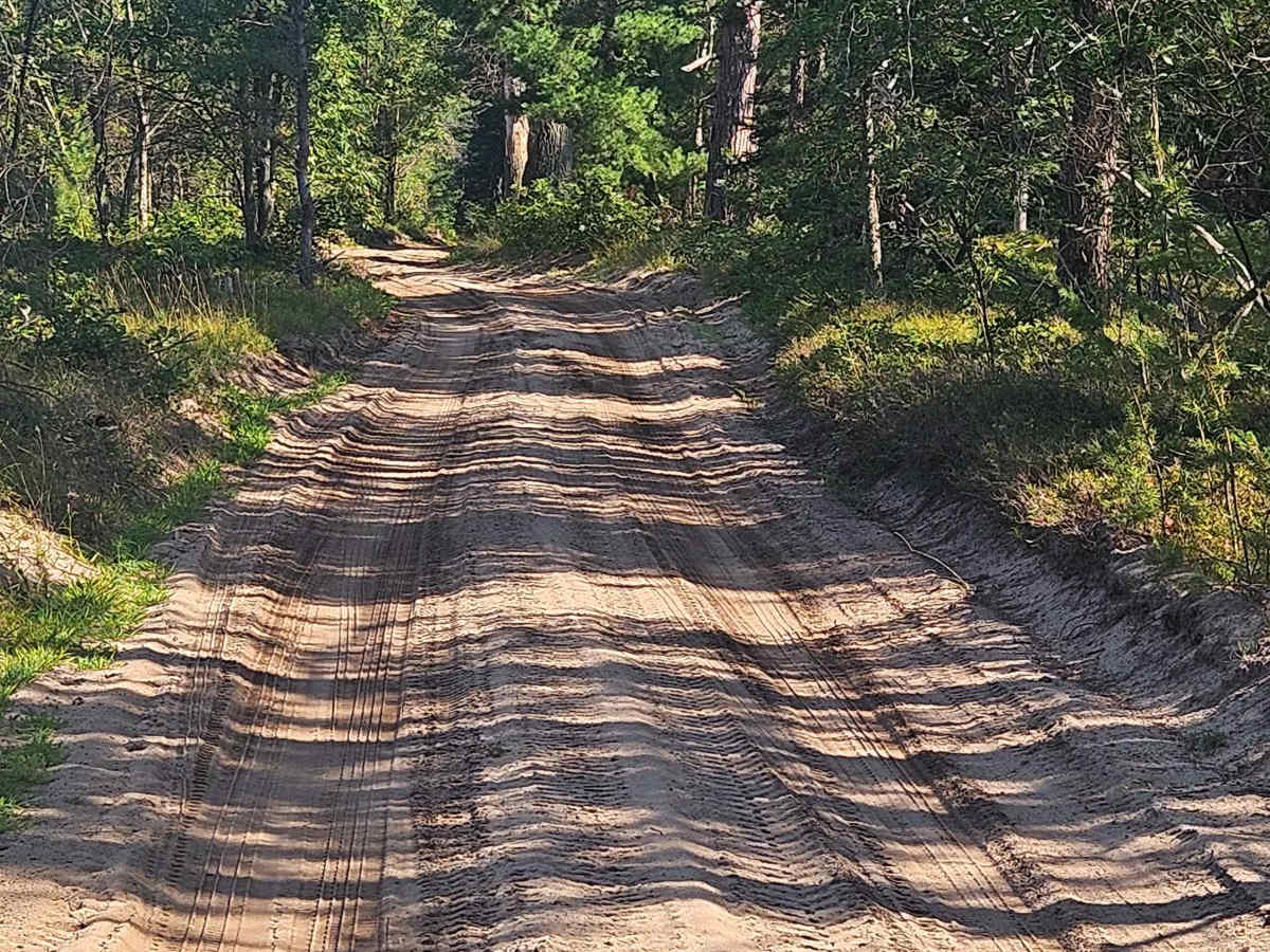 Bo's Trail photo 3