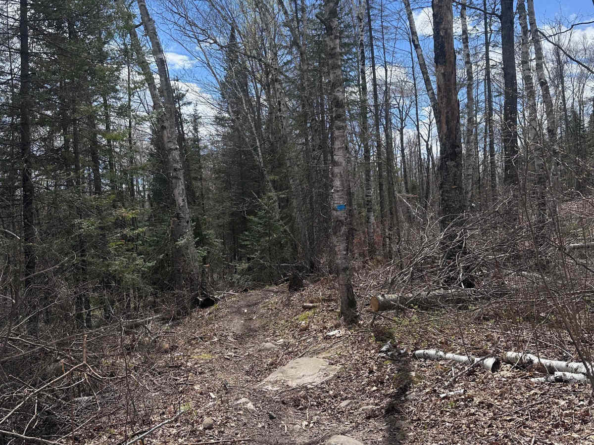 Gandy Dancer Bypass photo 6