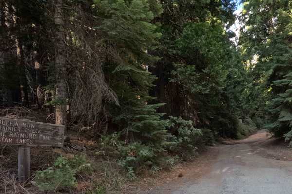 Buffin Meadow Road - FS 5S043