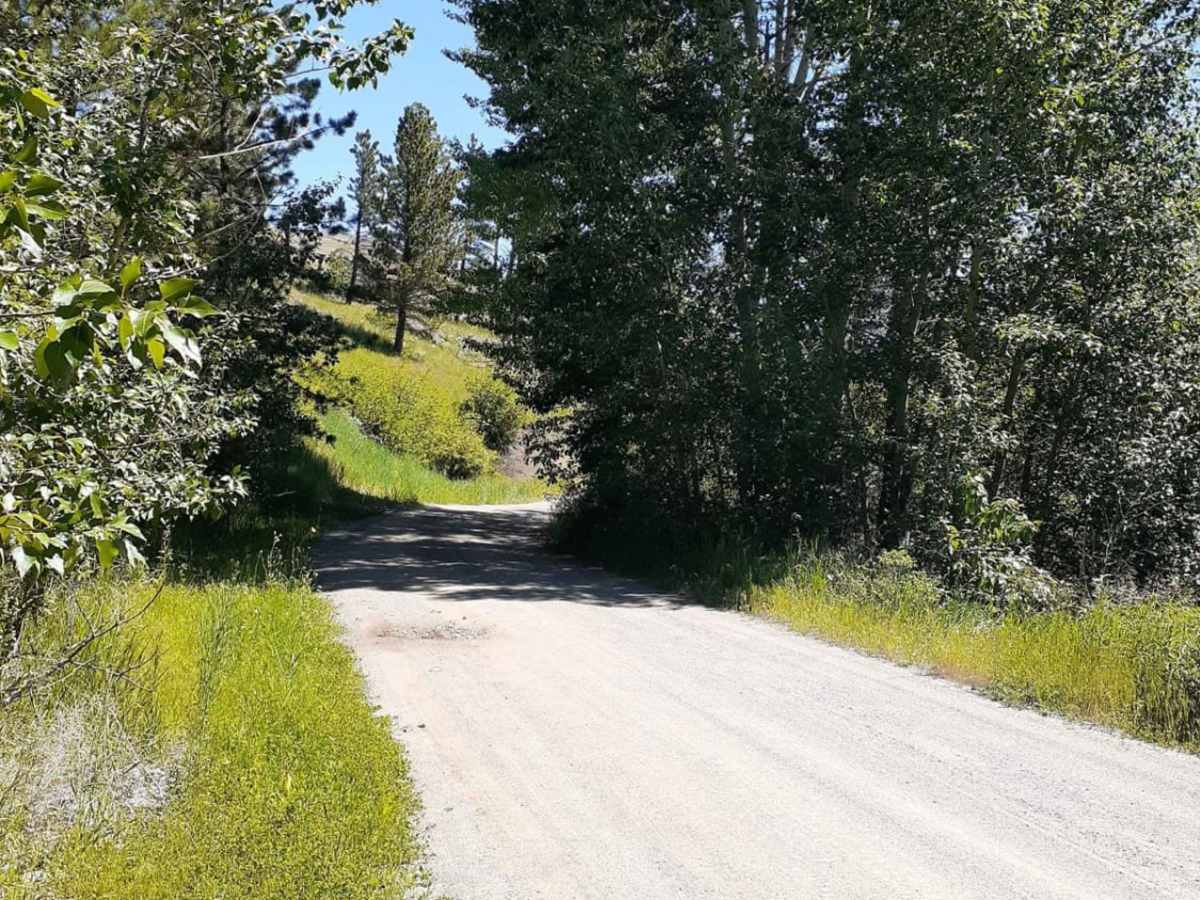 West Bridger Creek Cruise trail photo