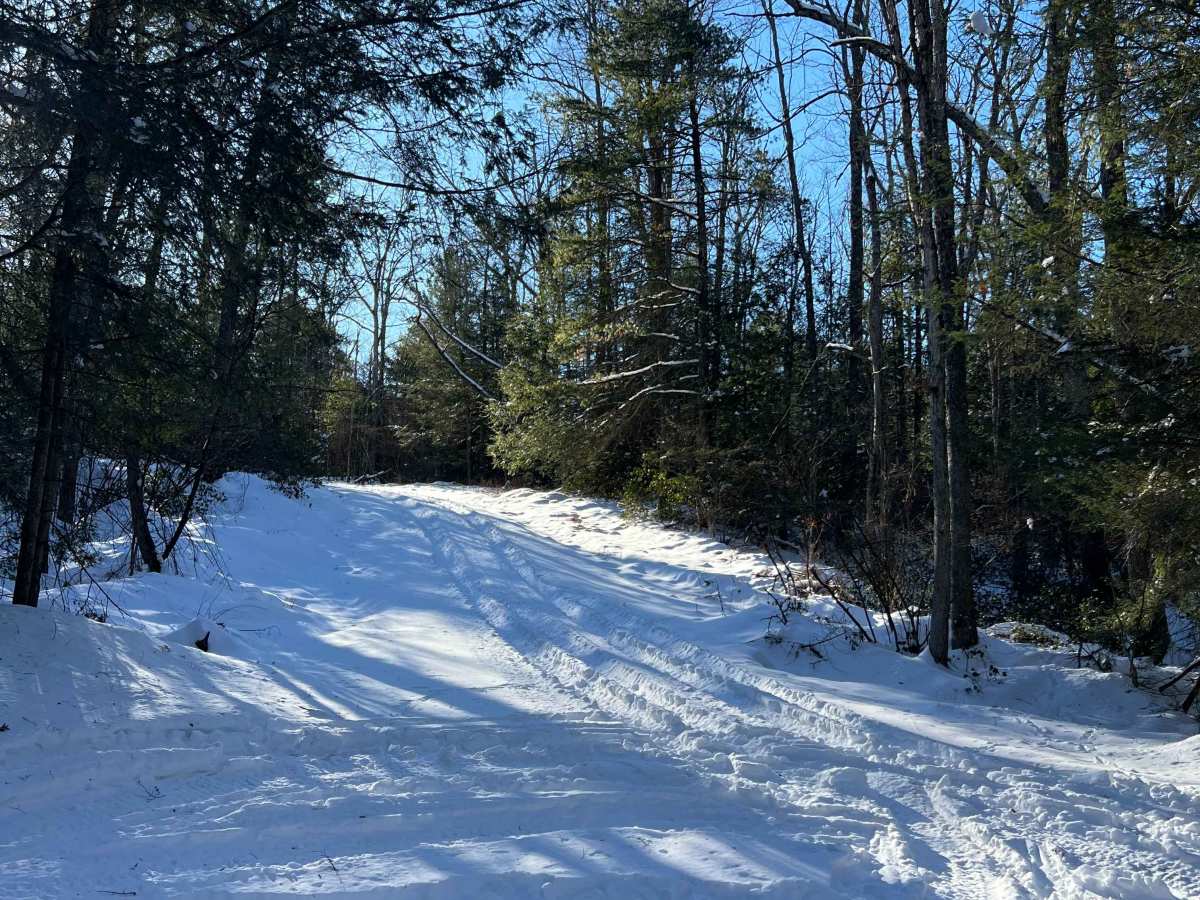 Wohlford Gap Trail trail photo