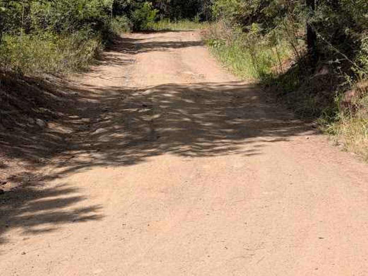 FS 9711-116 trail photo