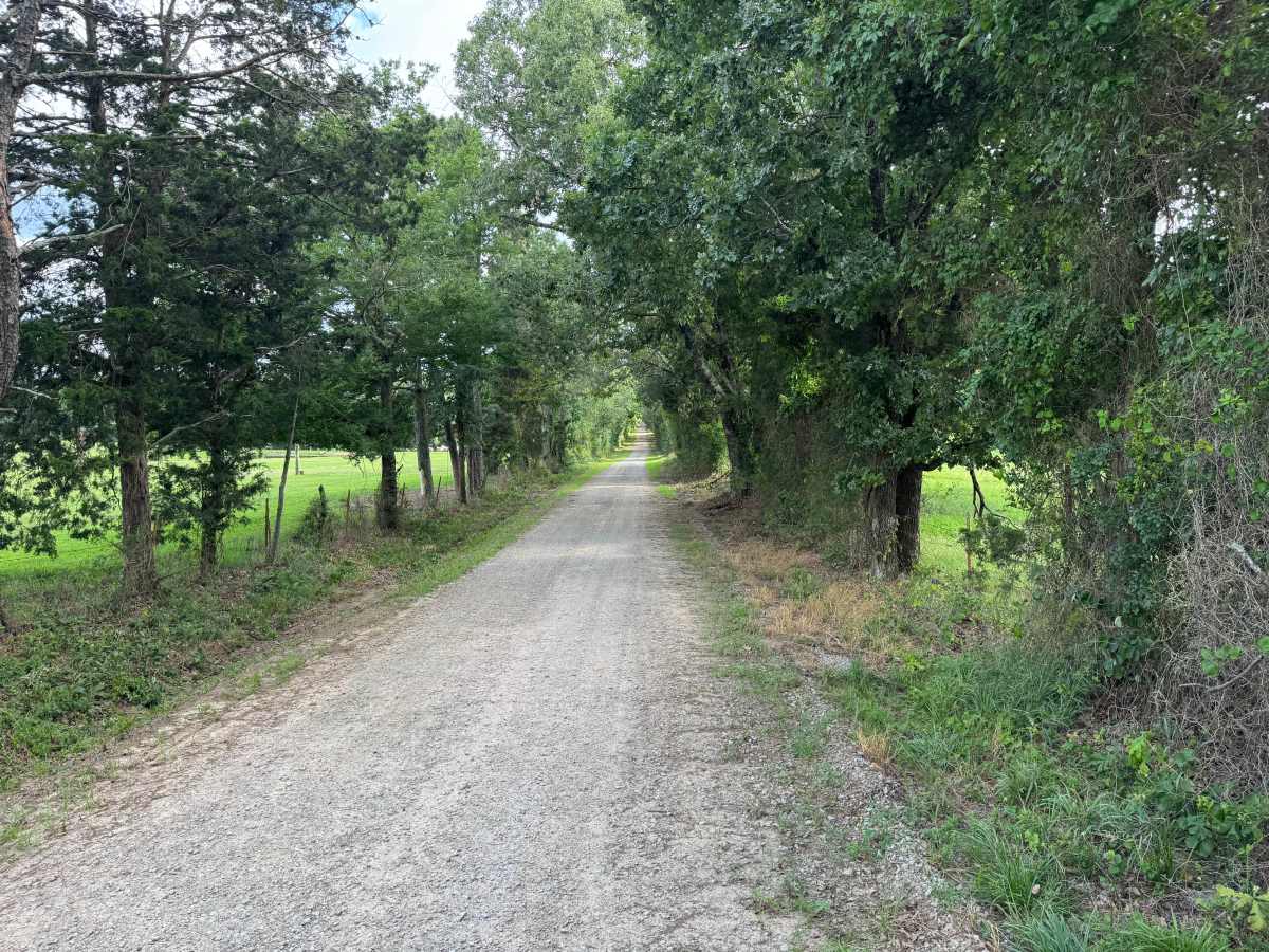 Melvin trail photo