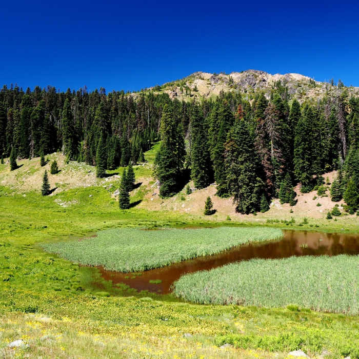Arnold Mountain above Hinkle Lake Near Hinkle Lake Trail