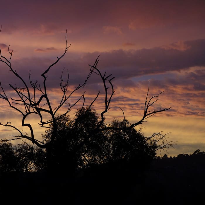 Near Palacio Del Mar Views Loop