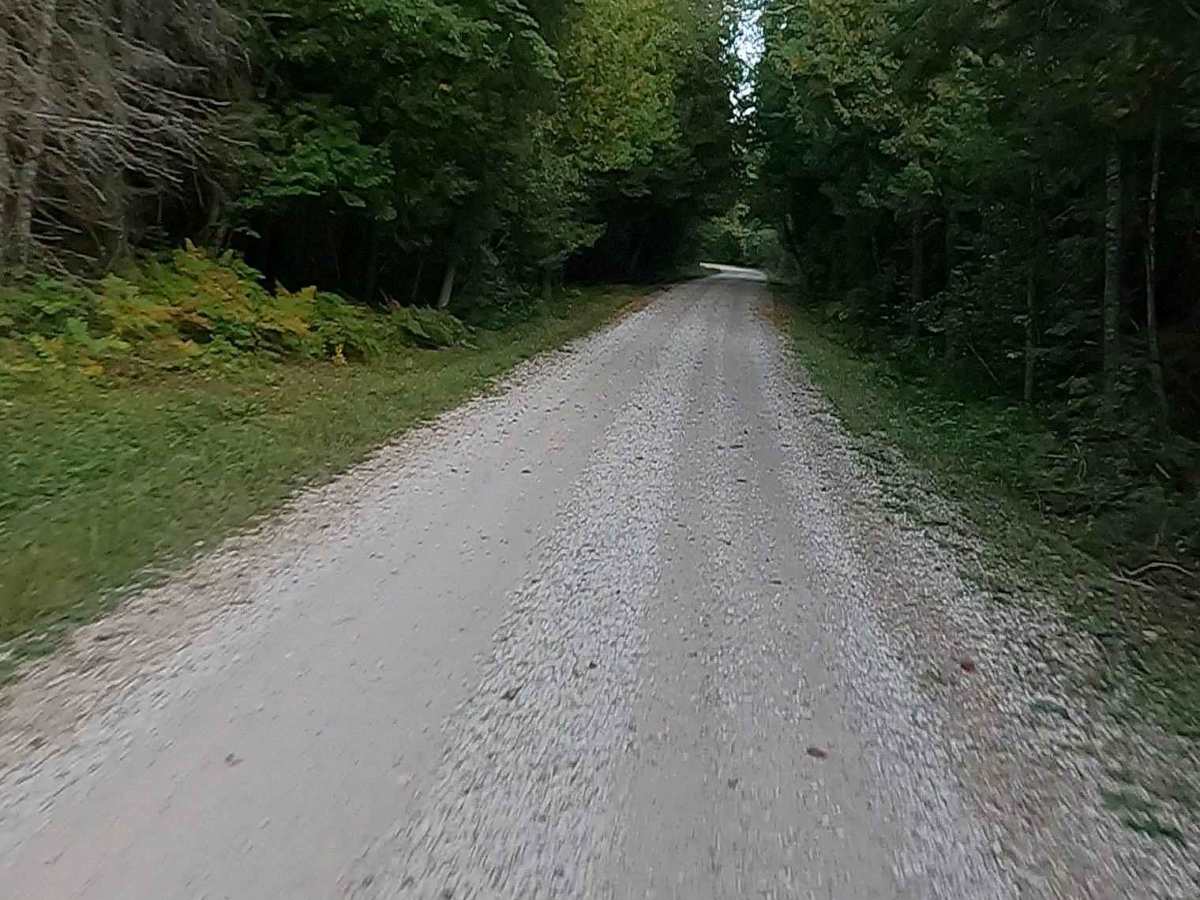 Red Creek Road - FS 3118   photo 4