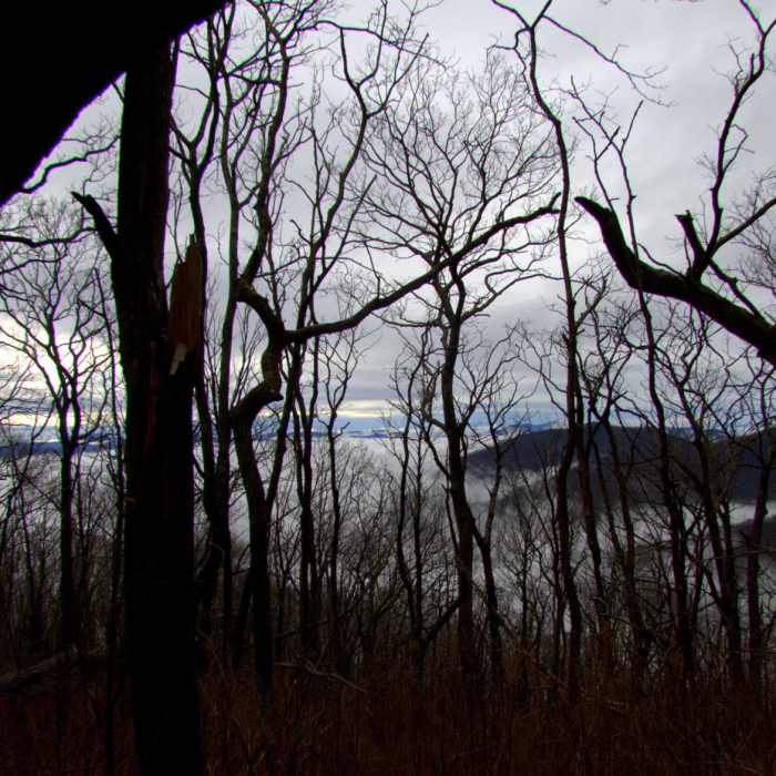 Near Beech Creek Trail to Big Scaly Mountain Near Beech Creek Trail to Big Scaly Mountain
