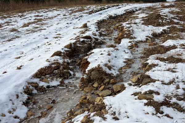 Dehaas Line Trail