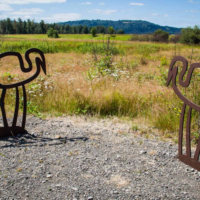 Near Gibbons Creek Wildlife Art Trail