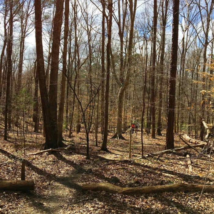 Near Duke Energy Corridor
