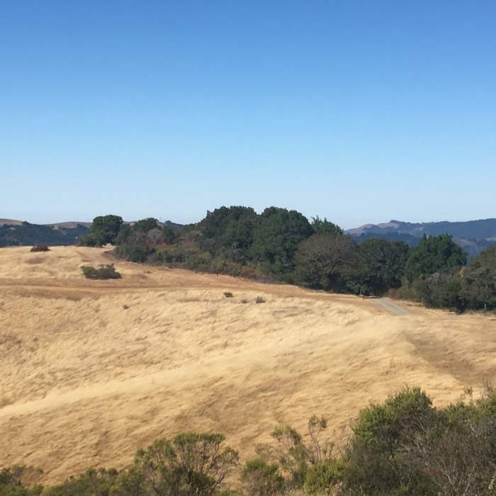 Near Black Mountain via Black Mountain Trail