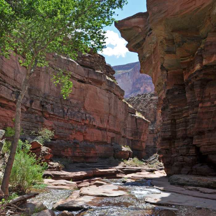 Near Deer Creek Trail