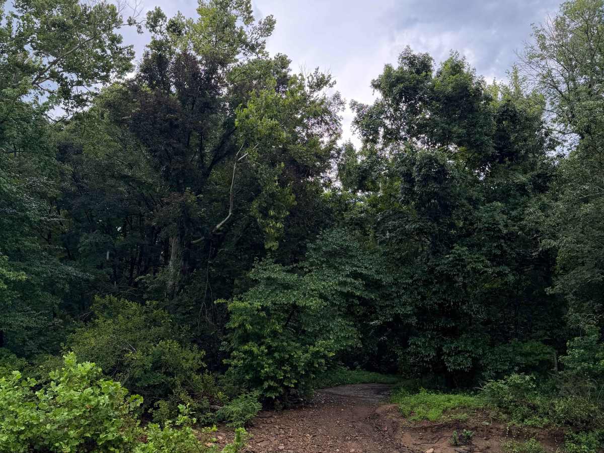Bayou Run photo 5