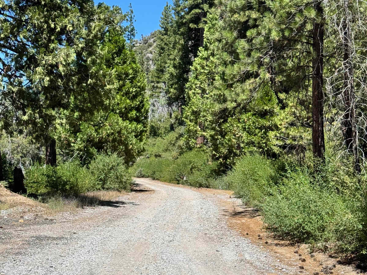 Donnell Res Road - FS 5N09X trail photo