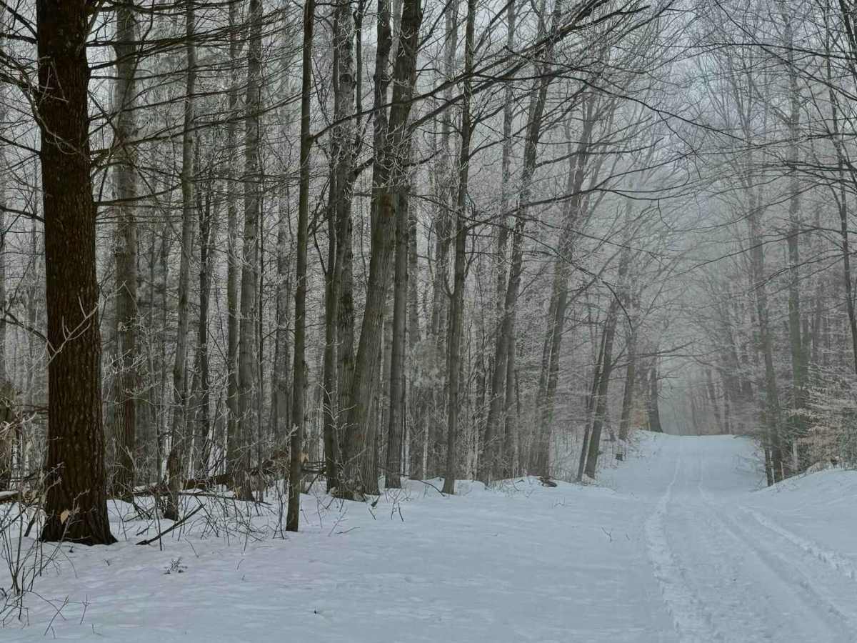 South Hyland Road trail photo