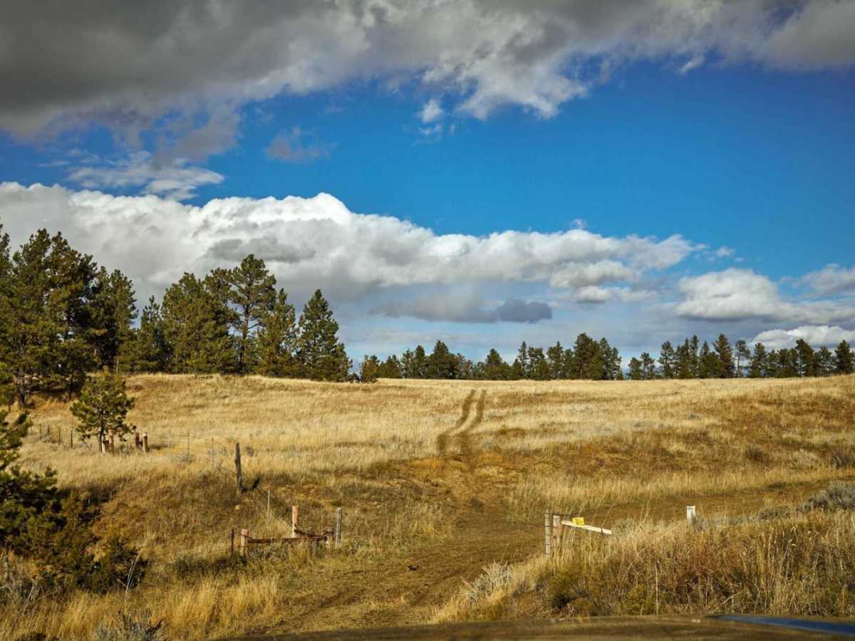 FSR 47782 photo 3
