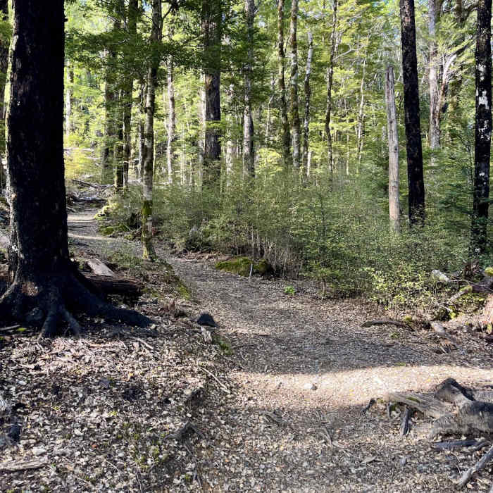 Near Julius Peak via Robert Ridge Route
