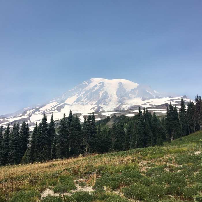 Near Muir Snowfield