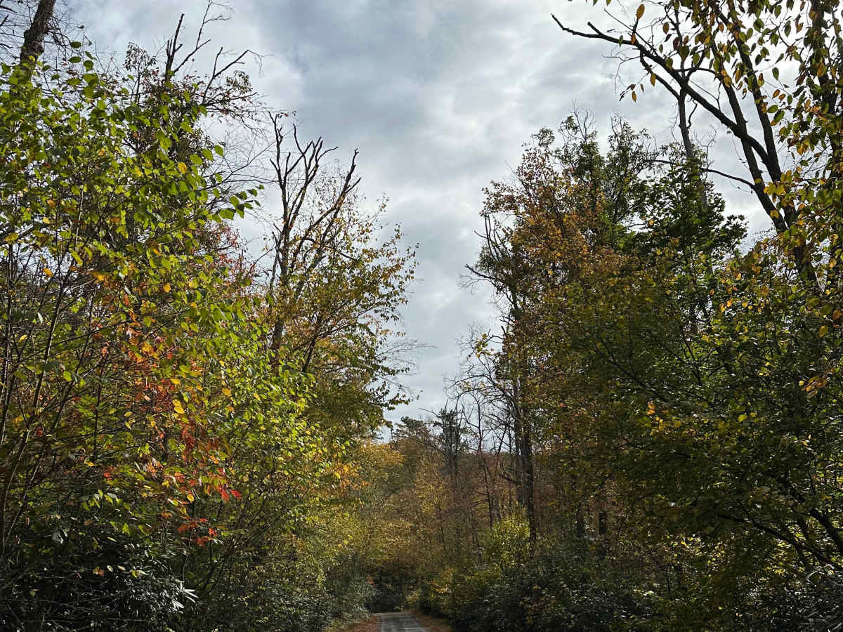 Milesburn Road photo 5
