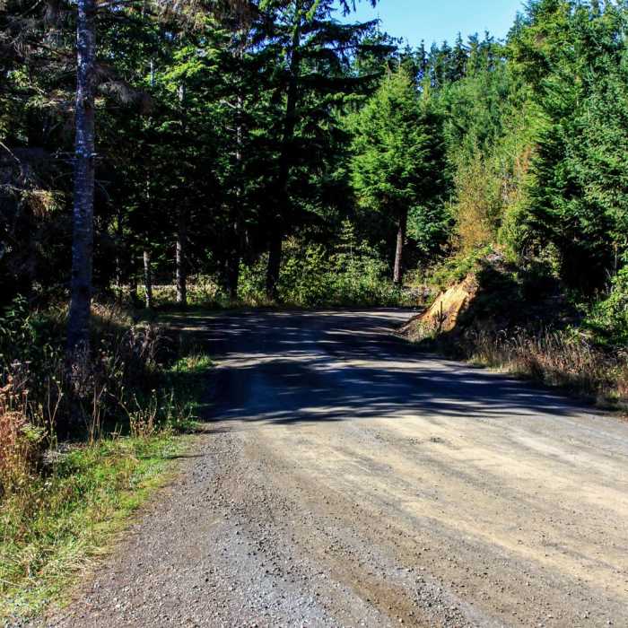 Near Oregon Coast Trail Section 7