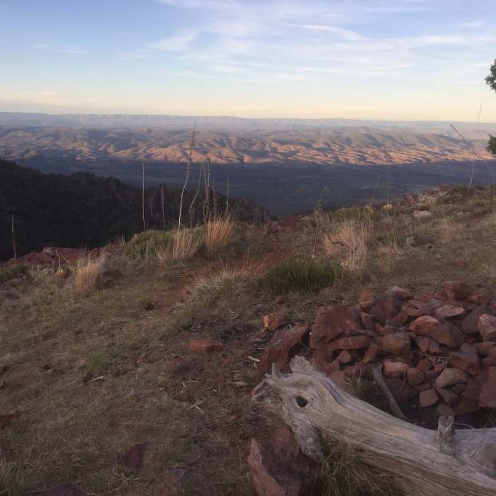 Near Barnhardt Trail #43