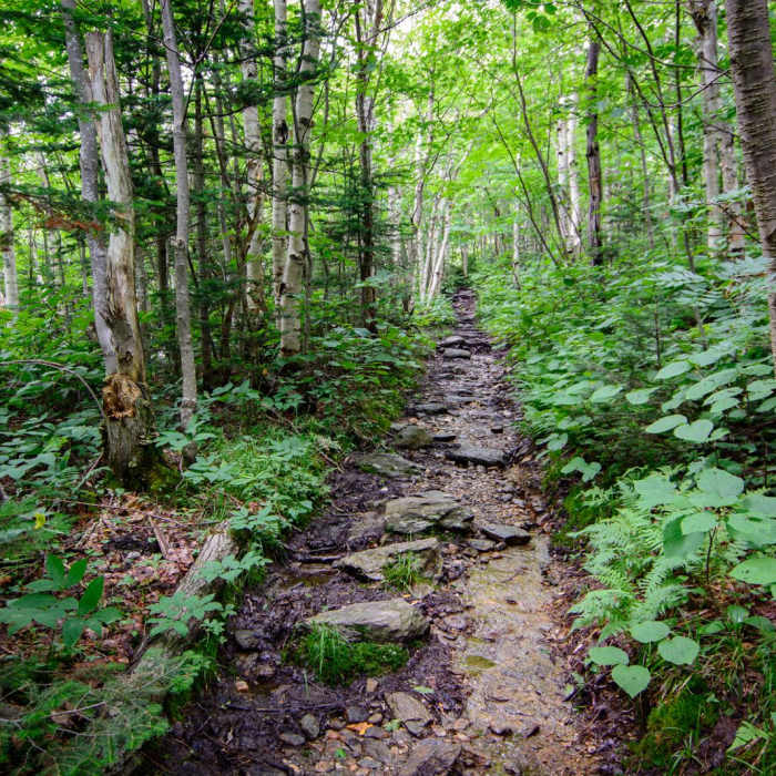 Near Elephants Head via Long Trail North Near Elephants Head via Long Trail North
