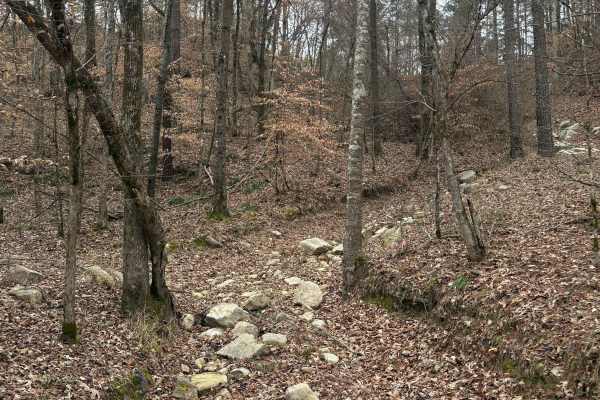 Mountain Road